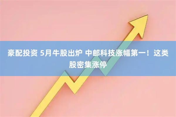 豪配投资 5月牛股出炉 中邮科技涨幅第一！这类股密集涨停