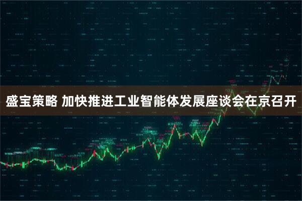 盛宝策略 加快推进工业智能体发展座谈会在京召开