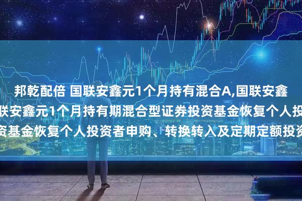 邦乾配倍 国联安鑫元1个月持有混合A,国联安鑫元1个月持有混合C: 国联安鑫元1个月持有期混合型证券投资基金恢复个人投资者申购、转换转入及定期定额投资业务的公告