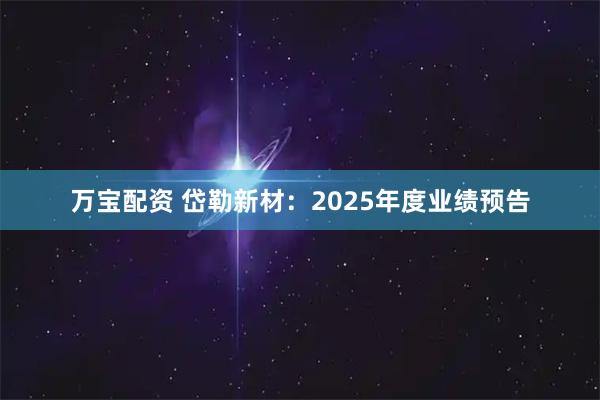 万宝配资 岱勒新材：2025年度业绩预告